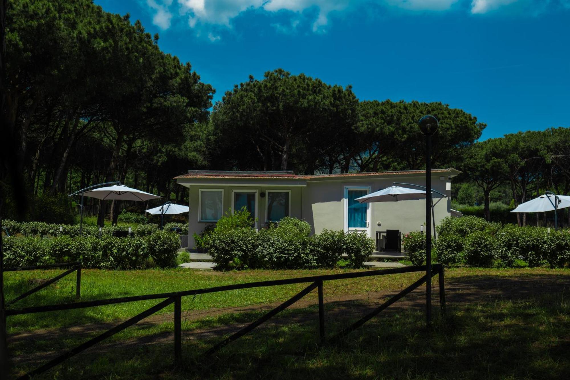 Bosco Mattavona Bed & Breakfast Boscotrecase Ngoại thất bức ảnh